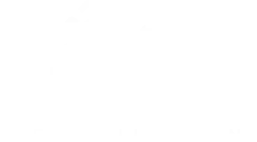 Neue Kollektion